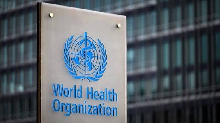 WHO renews commitment to polio eradication in Lake Chad Basin amidst complex challenges
